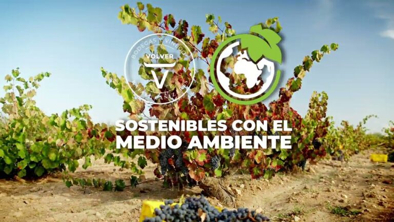 Gu&iacute;a de Compra de Herramientas en Quintanar del Rey