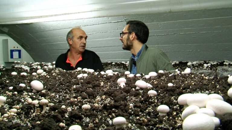 Mejores lugares para cursos de cer&aacute;mica en Quintanar del Rey