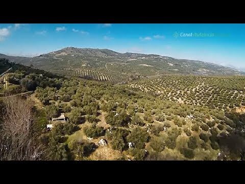 Rutas de Vino: Descubre los Mejores Destinos Desde Priego