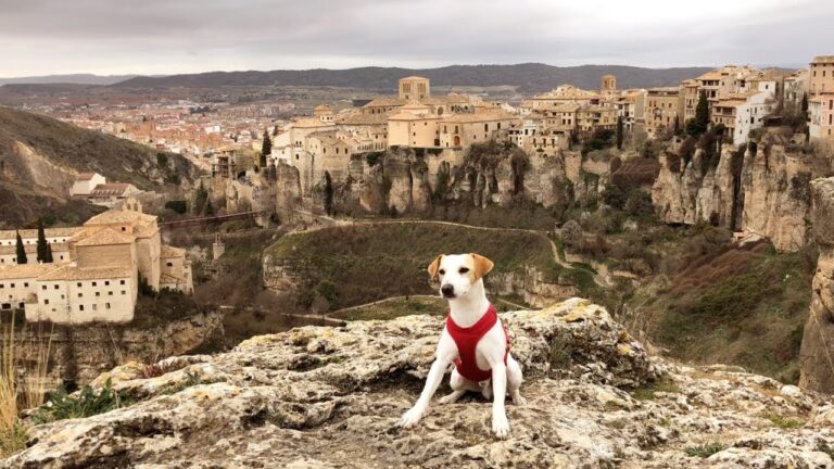 Senderismo con Perros: Mejores Rutas en Cuenca