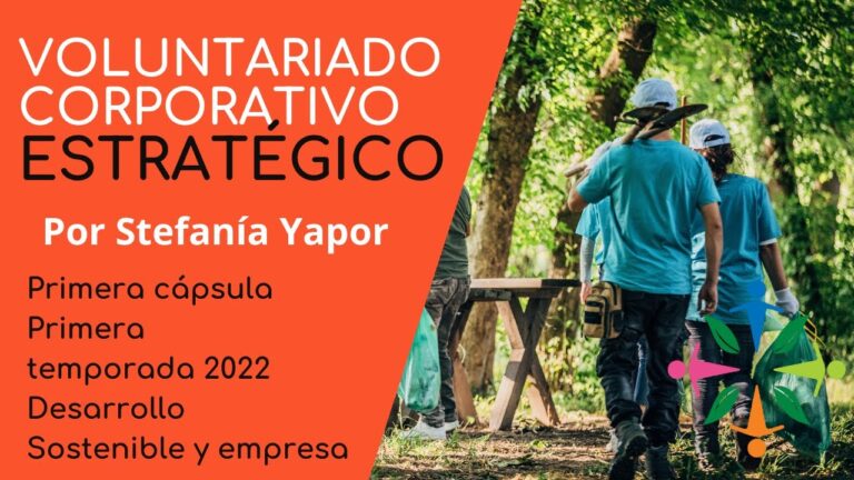 Actividades de Voluntariado en Alarc&oacute;n