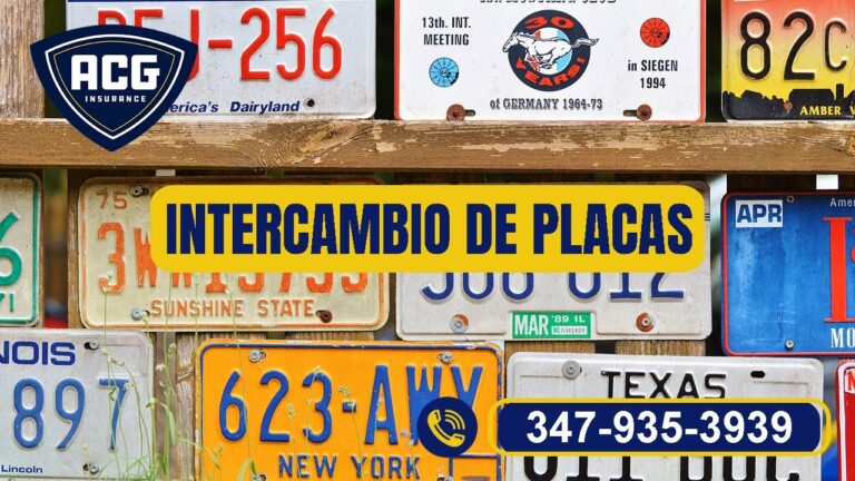Multas por Conducir Sin Seguro en Alarc&oacute;n