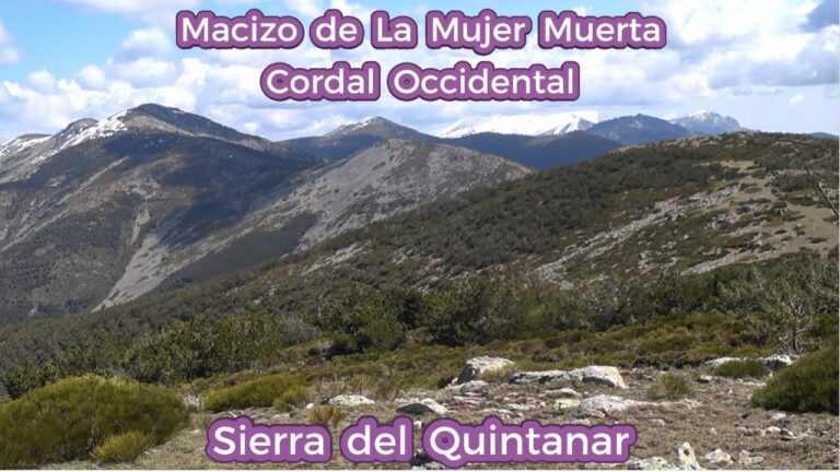 Ubicaci&oacute;n de la Estaci&oacute;n de Tren en Quintanar del Rey