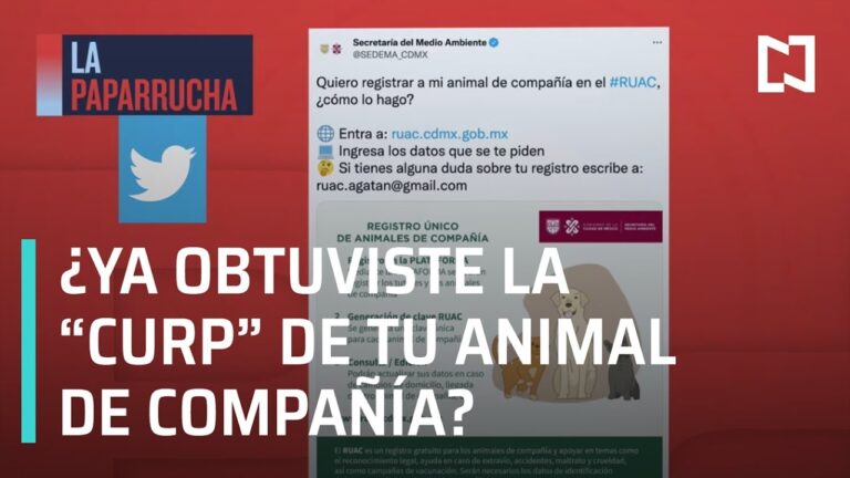 Gu&iacute;a para Registrar una Empresa en Priego
