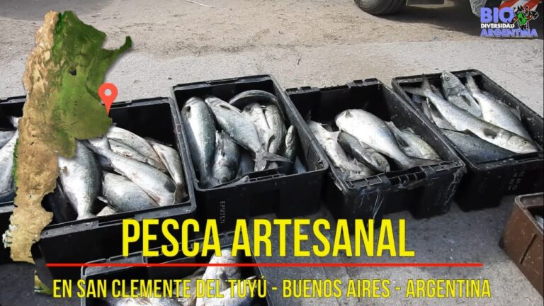 Guía para Comprar Productos Artesanales en San Clemente