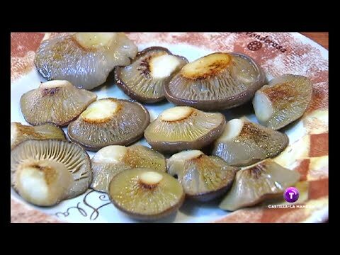 Guía para Encontrar Restaurantes de Tapas en Cuenca
