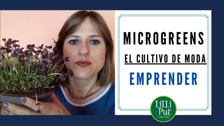 Tiendas Gourmet en Quintanar del Rey: Descubre las Mejores Opciones