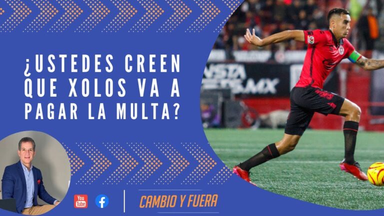 Consejos para enfrentar una multa en Alarc&oacute;n
